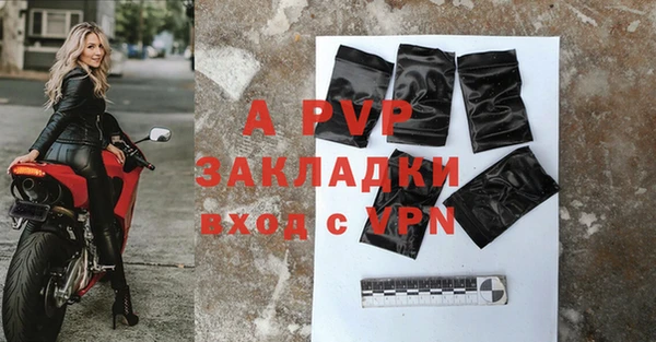 Альфа ПВП Верея