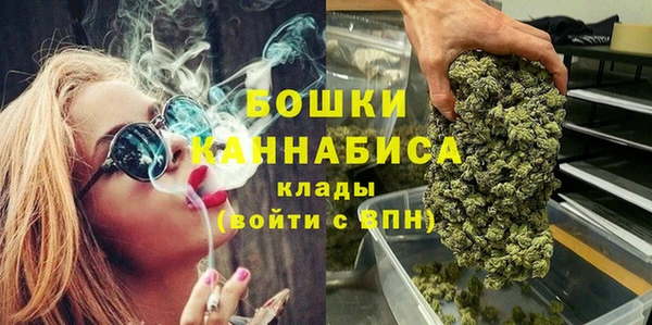 Альфа ПВП Верея