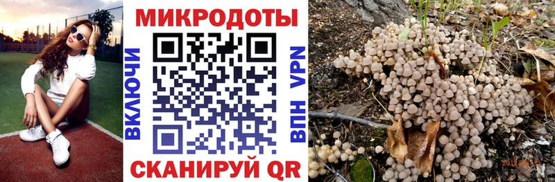 Купить где  Куртамыш  Псилоцибиновые грибы GOLDEN TEACHER 