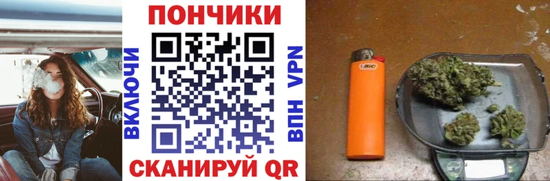 Купить  Куртамыш  Конопля VHQ 