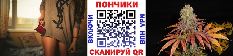 Шишки марихуана семена Куртамыш
